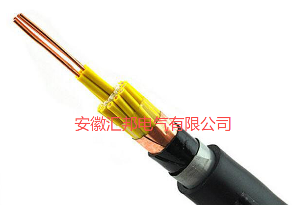 控制電纜KVVP2-22